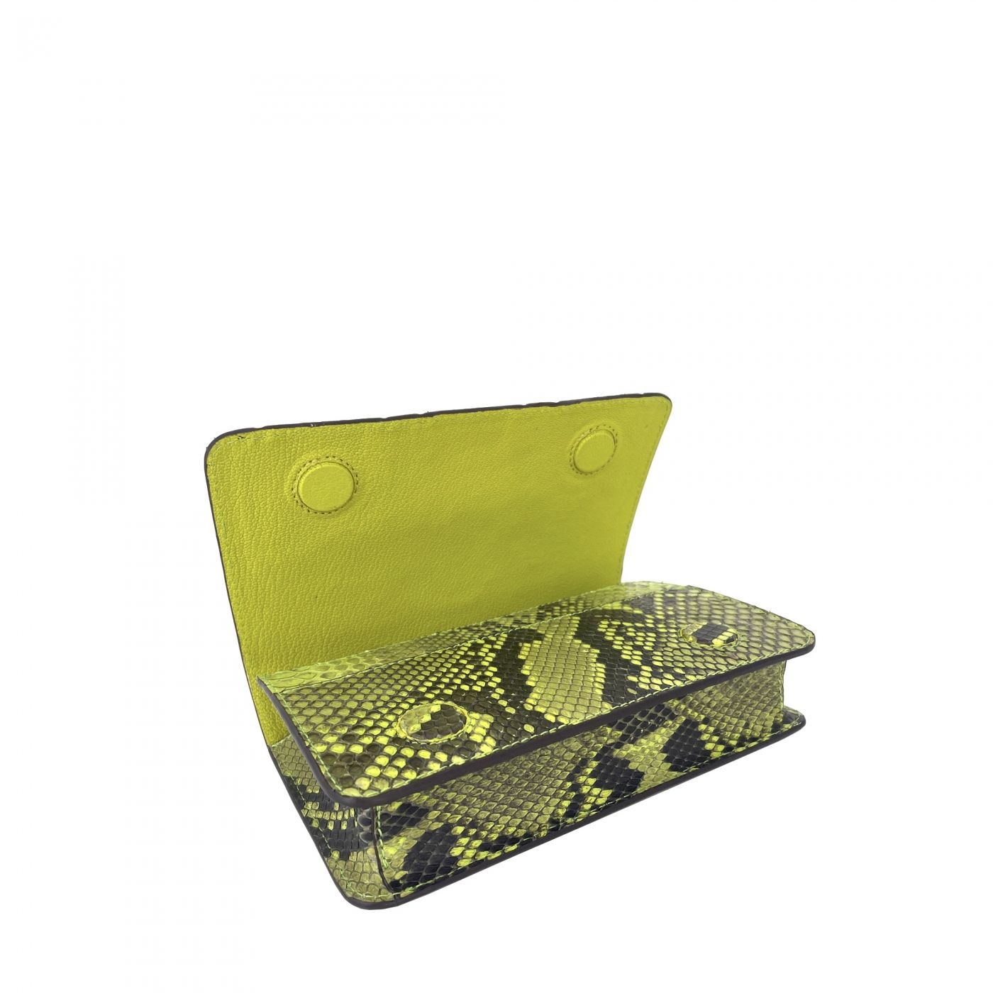 Pouch CADENCE anis python