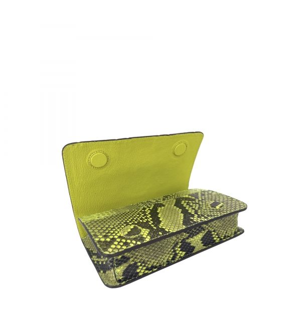 Pouch CADENCE anis python