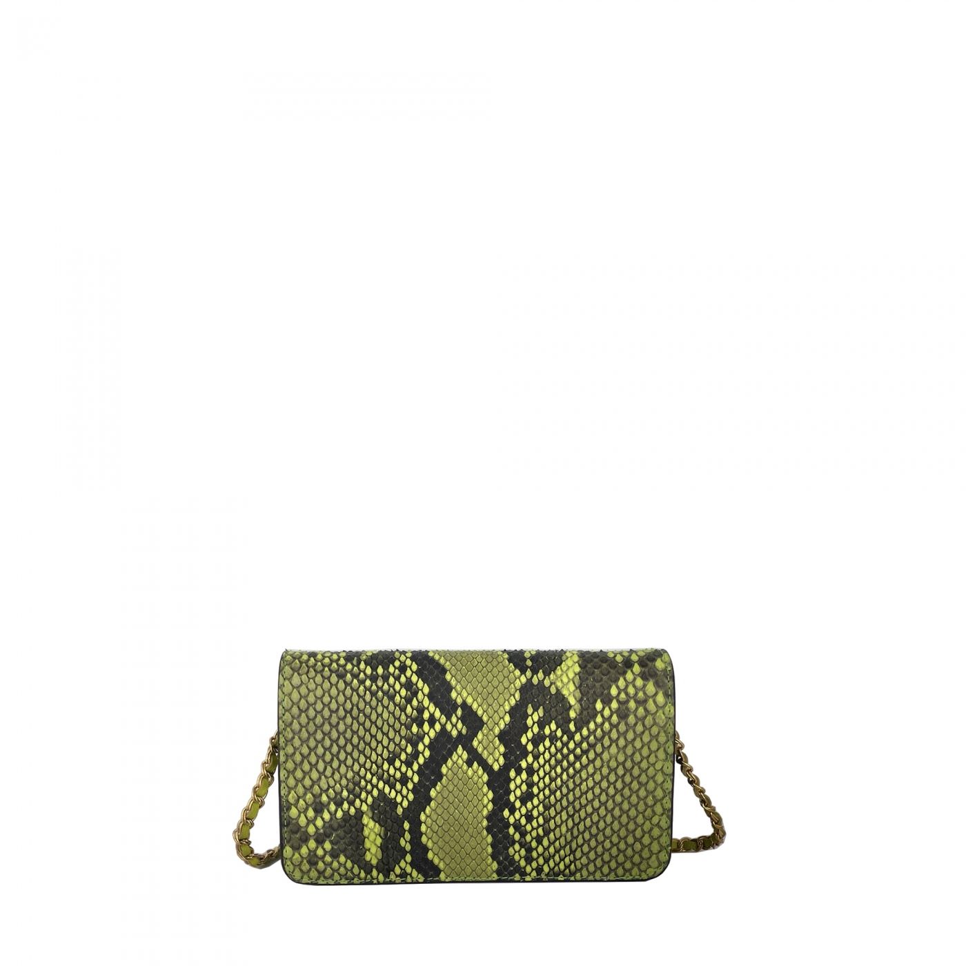Pouch CADENCE anis python