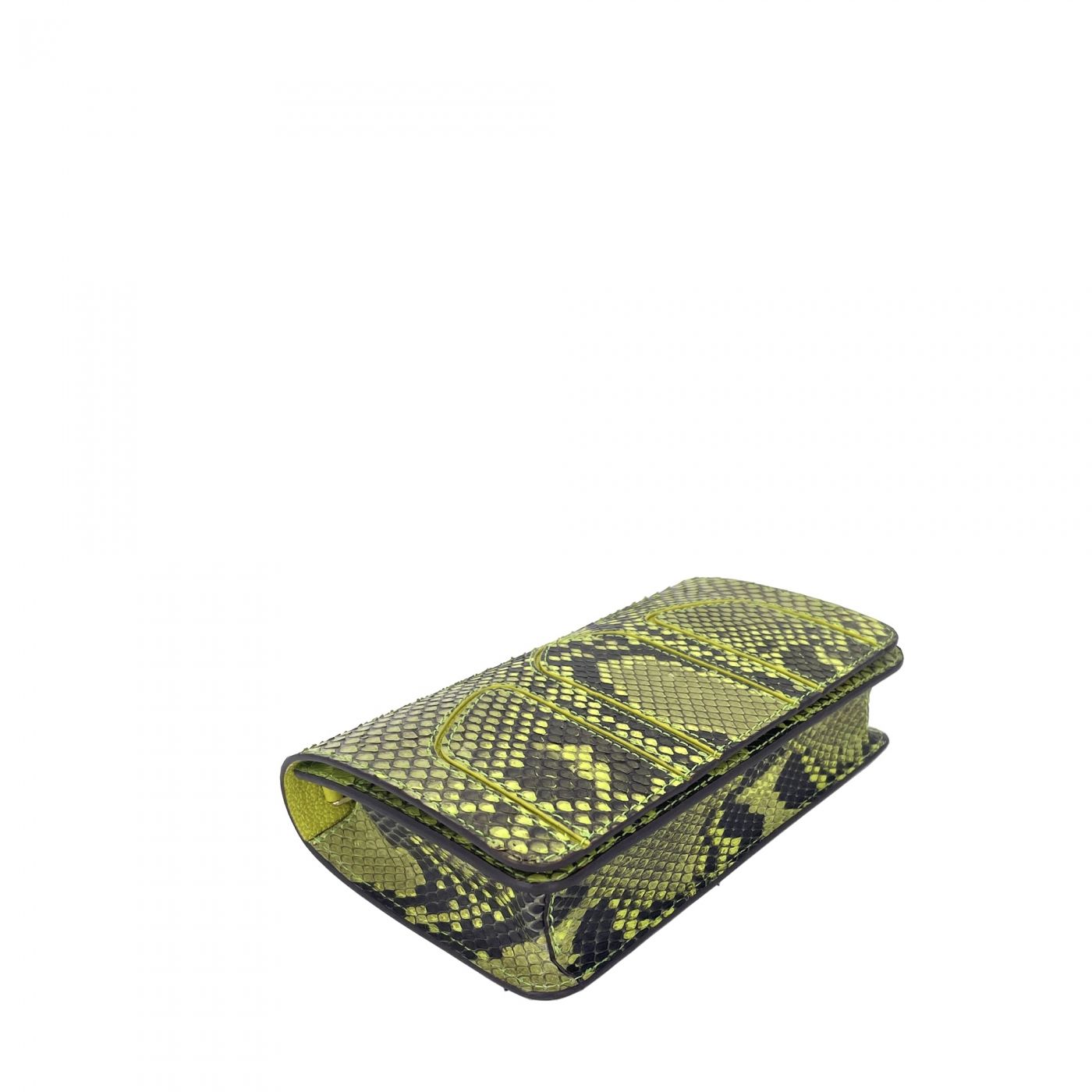 Pouch CADENCE anis python