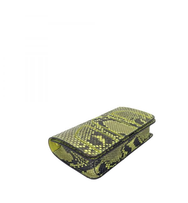 Pouch CADENCE anis python